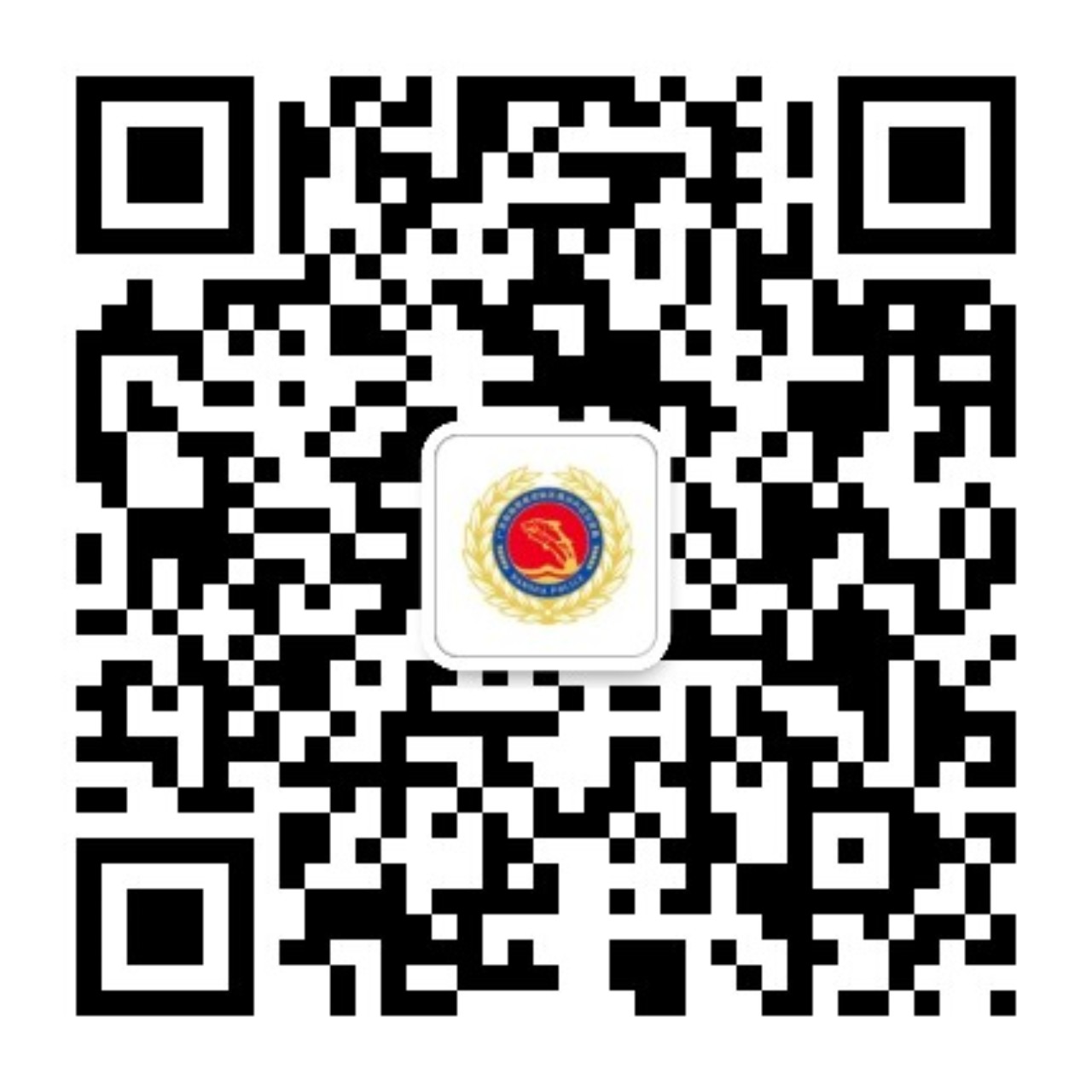 广州南沙公安
