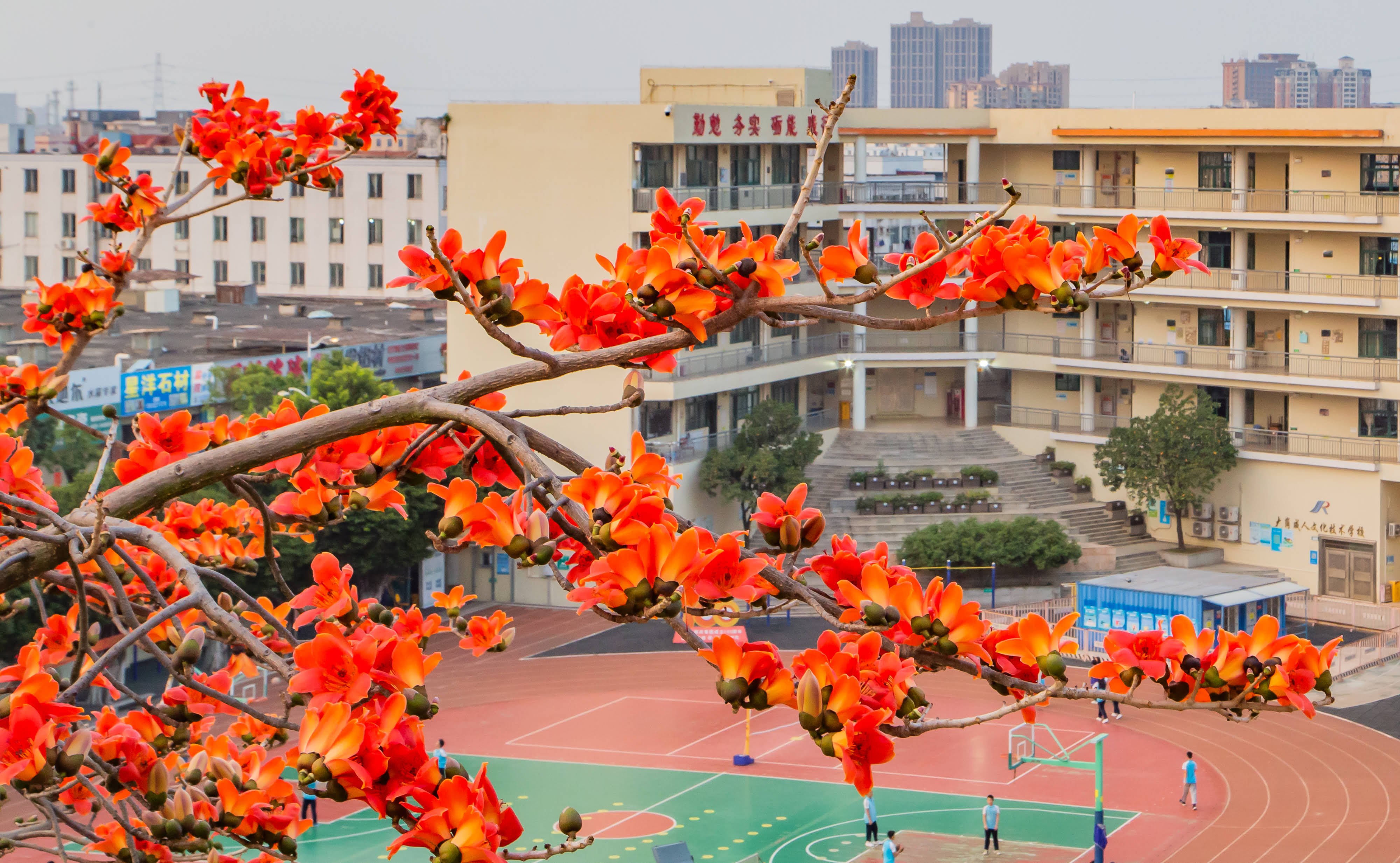 VR彩票
岭东职业技术学校校园4.jpg