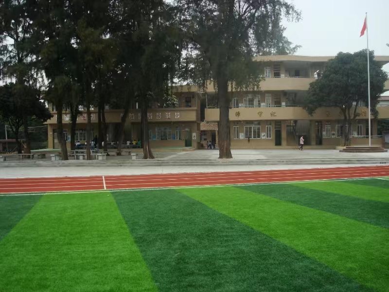 学校全貌图片.jpg