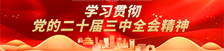学习贯彻党的二十届三中全会精神 学习贯彻党的二十届三中全会精神